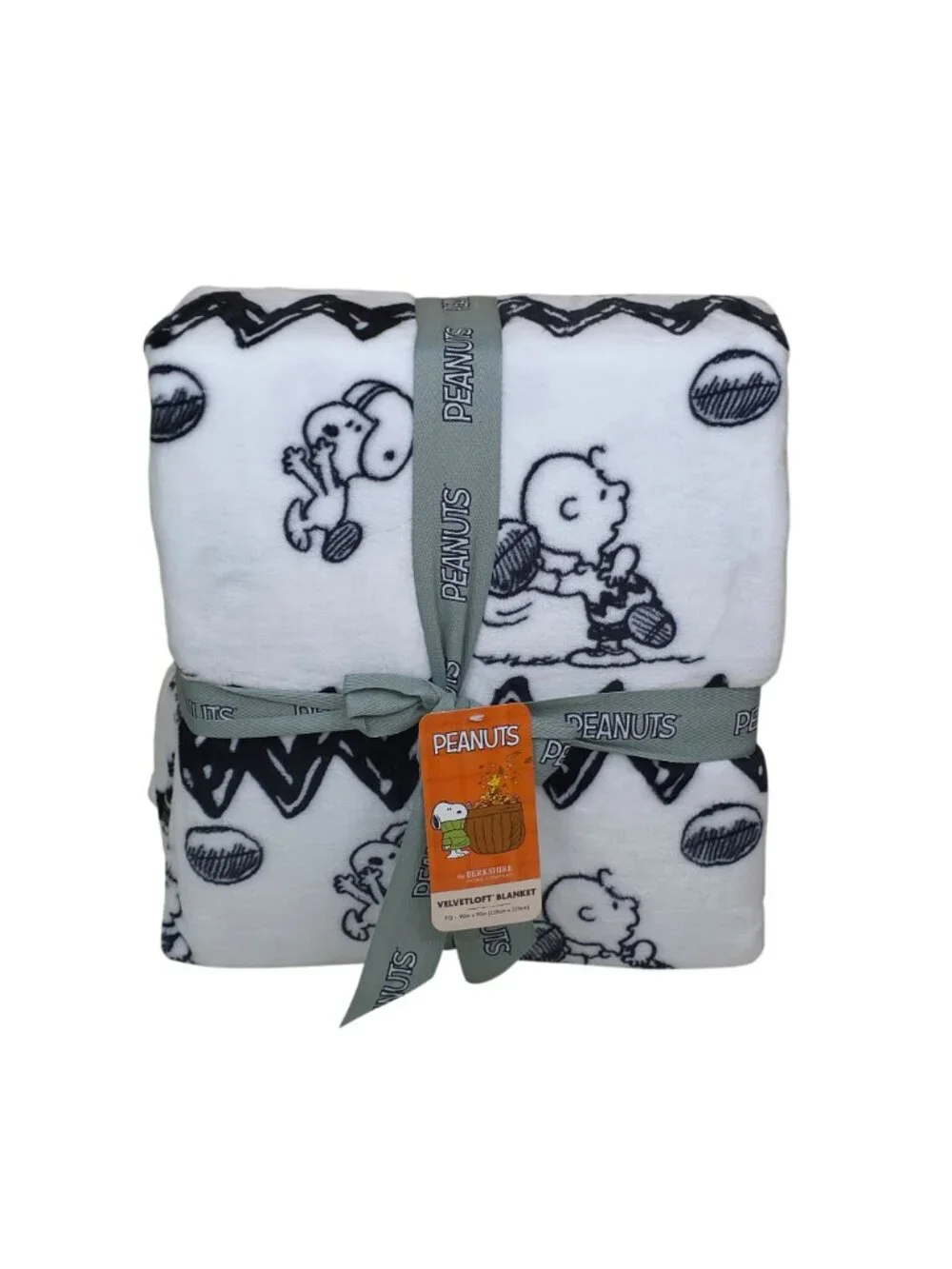 Peanuts VelvetLoft Plush Blanket Queen 90x90